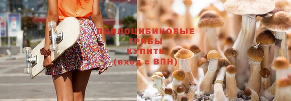 стаф Балахна