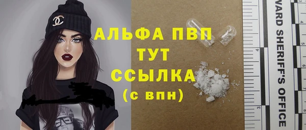 индика Балабаново