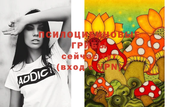 стаф Балахна