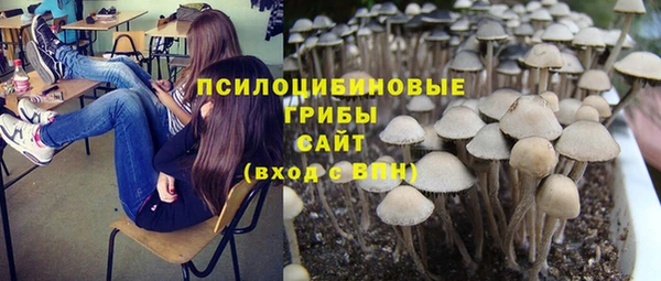стаф Балахна
