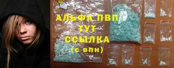 стаф Балахна