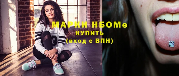 индика Балабаново